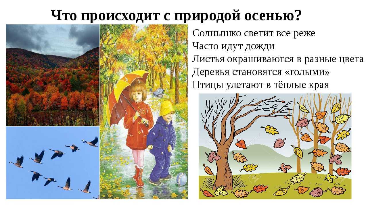 На основании каких групп признаков осуществляется природное. Признаки осени. Сезонные изменения осенью. Природа осенью для дошкольников. Изменения в природе осенью для детей.