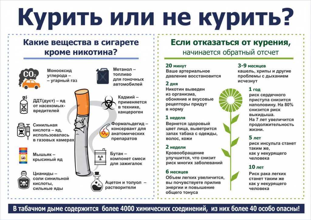 Как перестать есть на ночь: что делать и советы психолога, упражнения