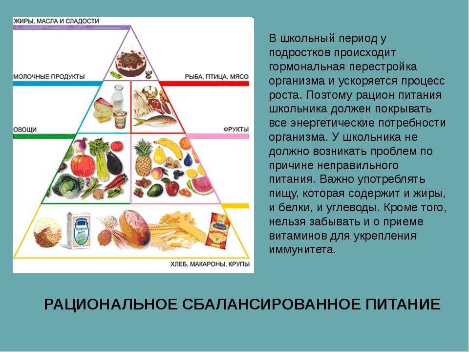 Презентация режим питания школьника