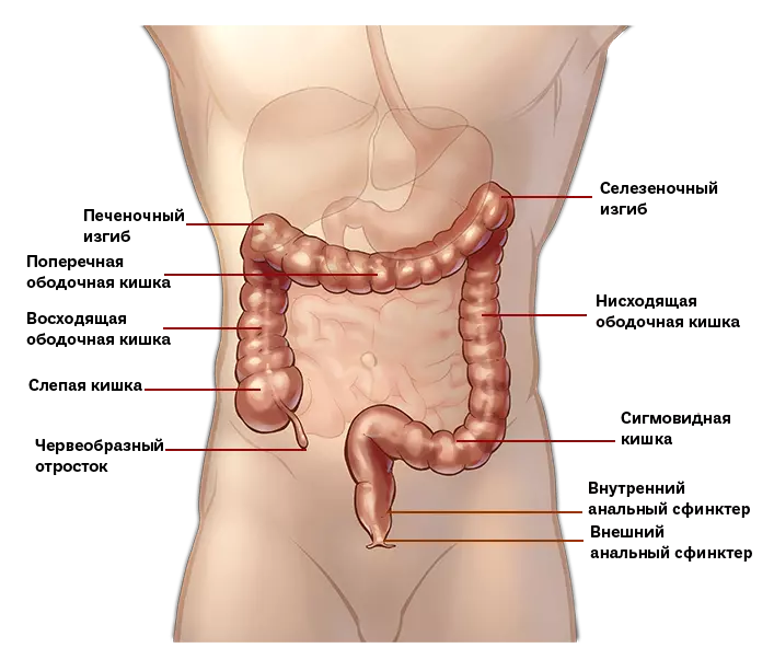 Сигмоидит схема лечения