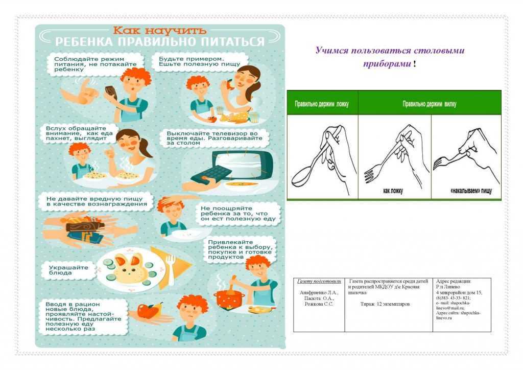 Котёнок не ест сухой корм: что делать, как его приучить