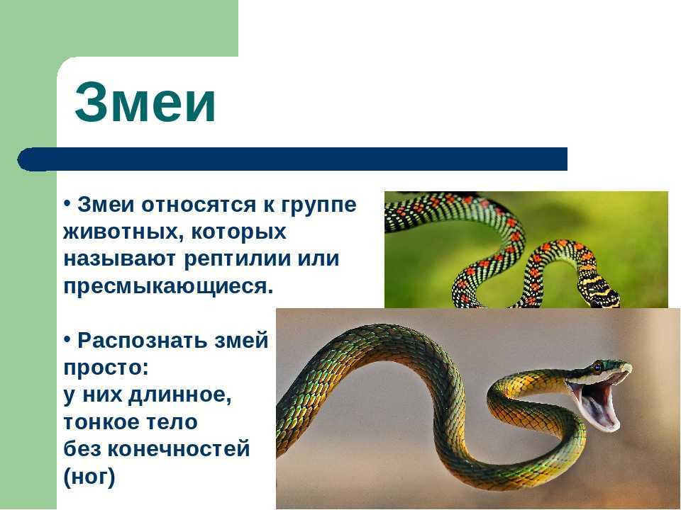 Комплексная безопасность несовершеннолетних