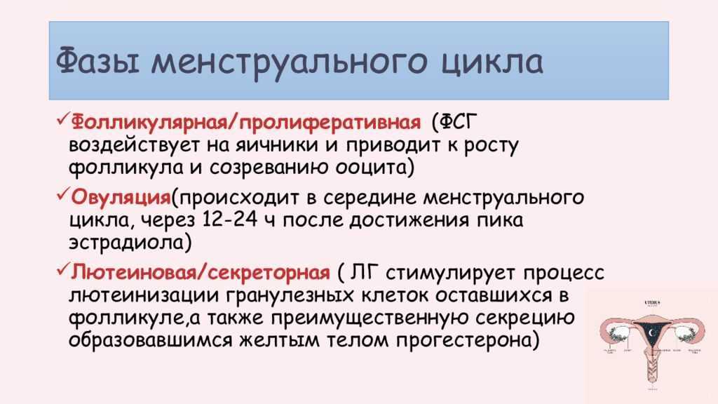 Норма менструации: правильные показатели и нарушения