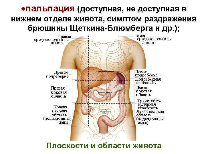 Болит живот - причины, лечение и диагностика болей в животе - медком