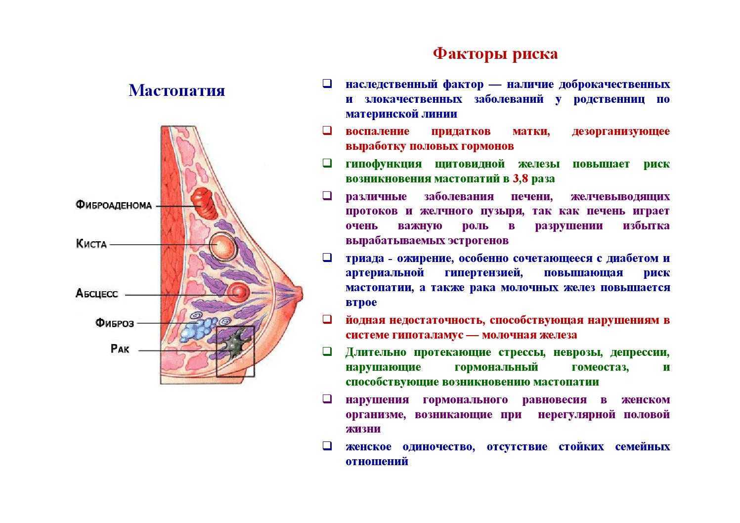 Признаки мастопатия молочных желез. Факторы возникновения мастопатии. Факторы риска мастопатии. Мастопатия молочной железы этиология. Фиброзно-кистозная мастопатия схема.