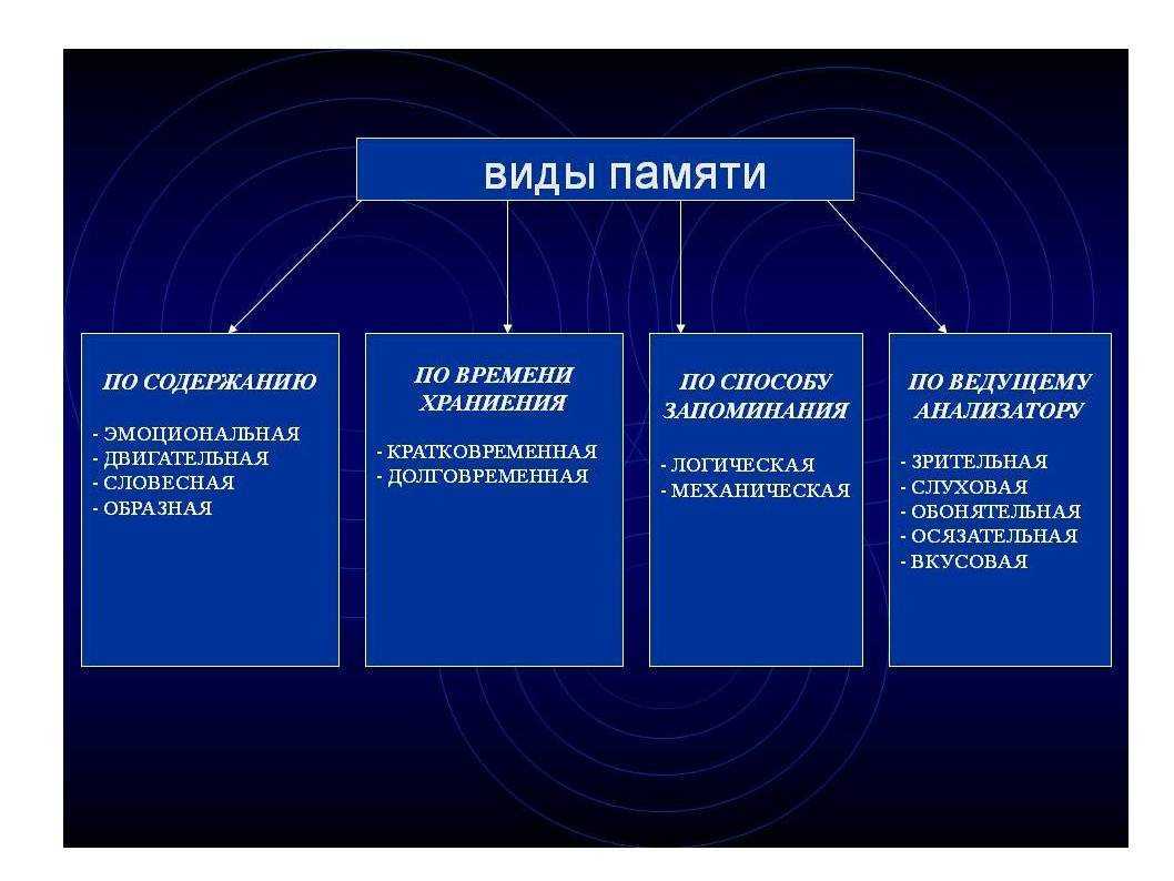 Типы памяти и техники эффективного запоминания