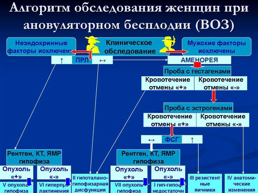 Алгоритм осмотра. Бесплодный брак алгоритм обследования бесплодной пары. Алгоритм диагностики бесплодия. Обследования при бесплодии алгоритм супружеской пары при бесплодии. Женское бесплодие алгоритм обследования.