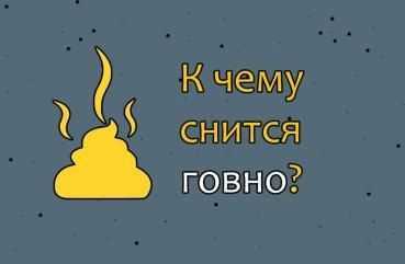 К чему снится какать - толкование сна по сонникам