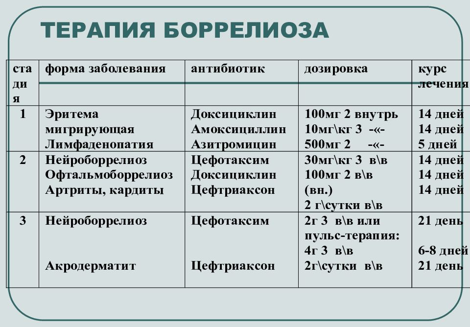 Болезнь лайма карта