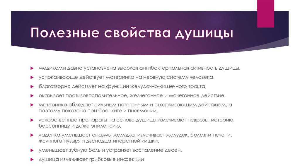 Душица, лечебные свойства и противопоказания