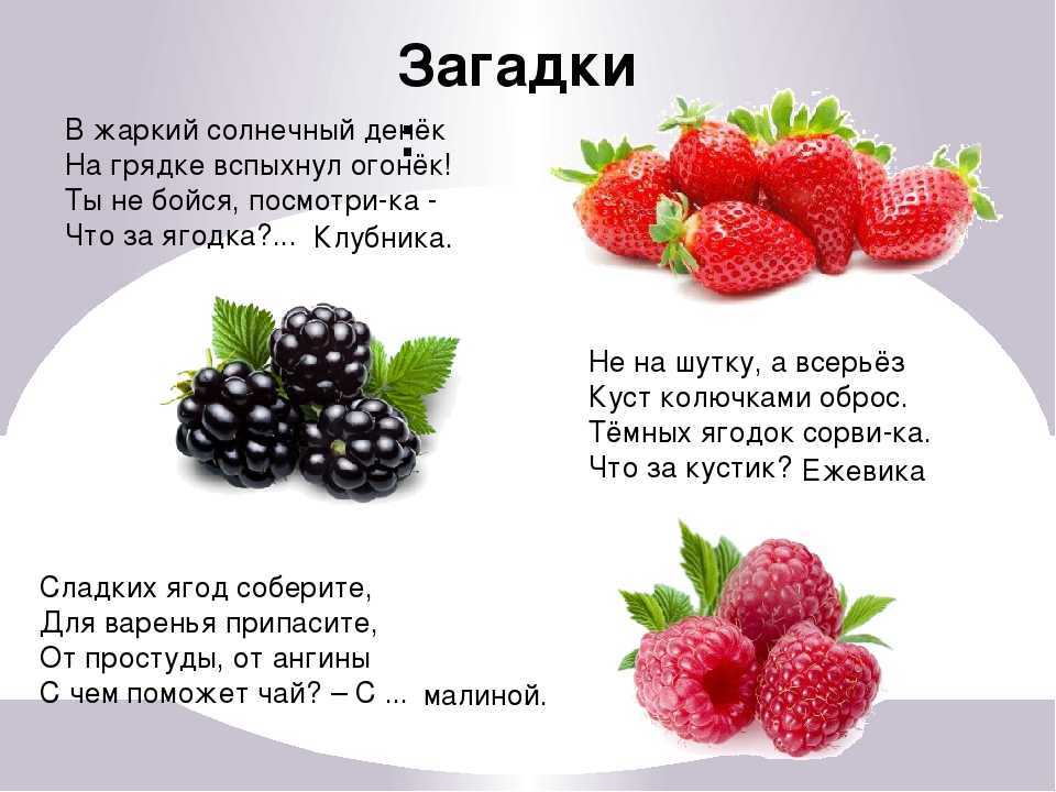 К чему снятся ягоды: толкование красных и чёрных ягод по соннику