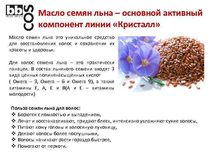 Семена льна, какая от них может быть польза и вред, как правильно их принимать | arpuz.ru