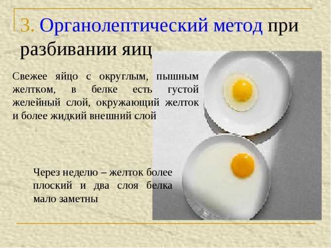 Сонник к чему снятся яйца куриные на сайте сонник гуру