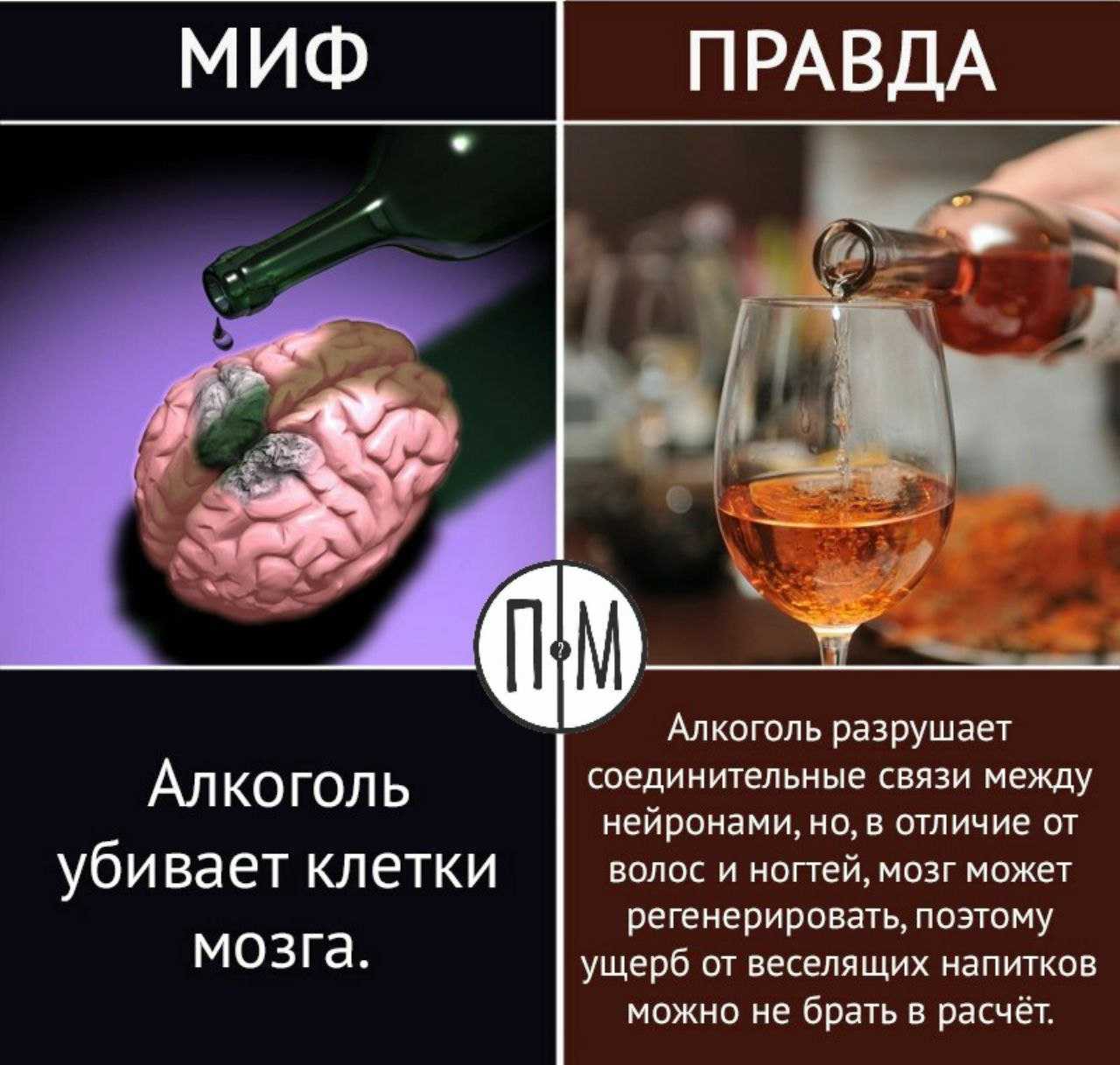 Почему выпившая. Алкогольные мифы. Алкоголь убивает мозговые клетки.