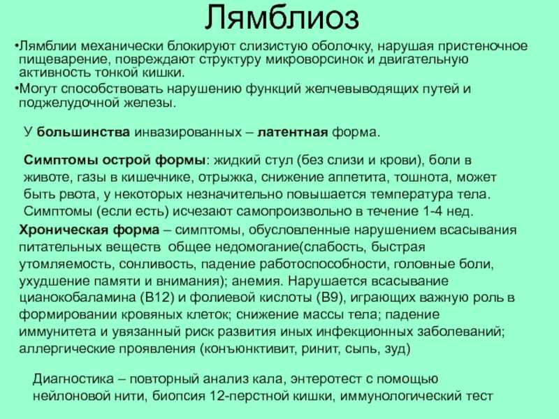 Лямблиоз, симптомы и схема лечения у взрослых. чем лечить лямблиоз