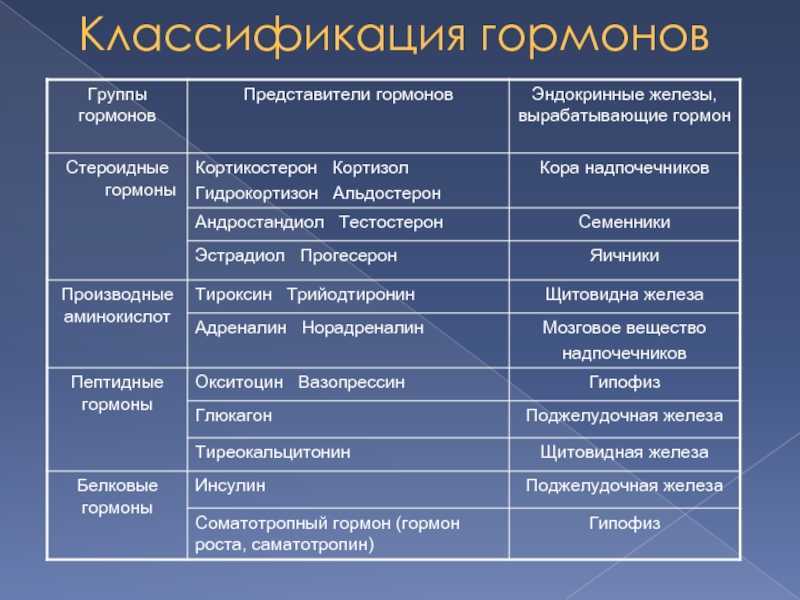 Витамины ферменты и гормоны в их роли для организма человека нарушения при их недостатке проект