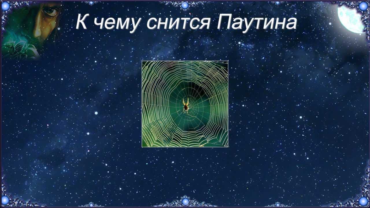 Убирать паутину во сне. К чему снится паутина. Приснилась паутина во сне. Сонник-толкование снов к чему снится паук. Сонник-толкование паутина.