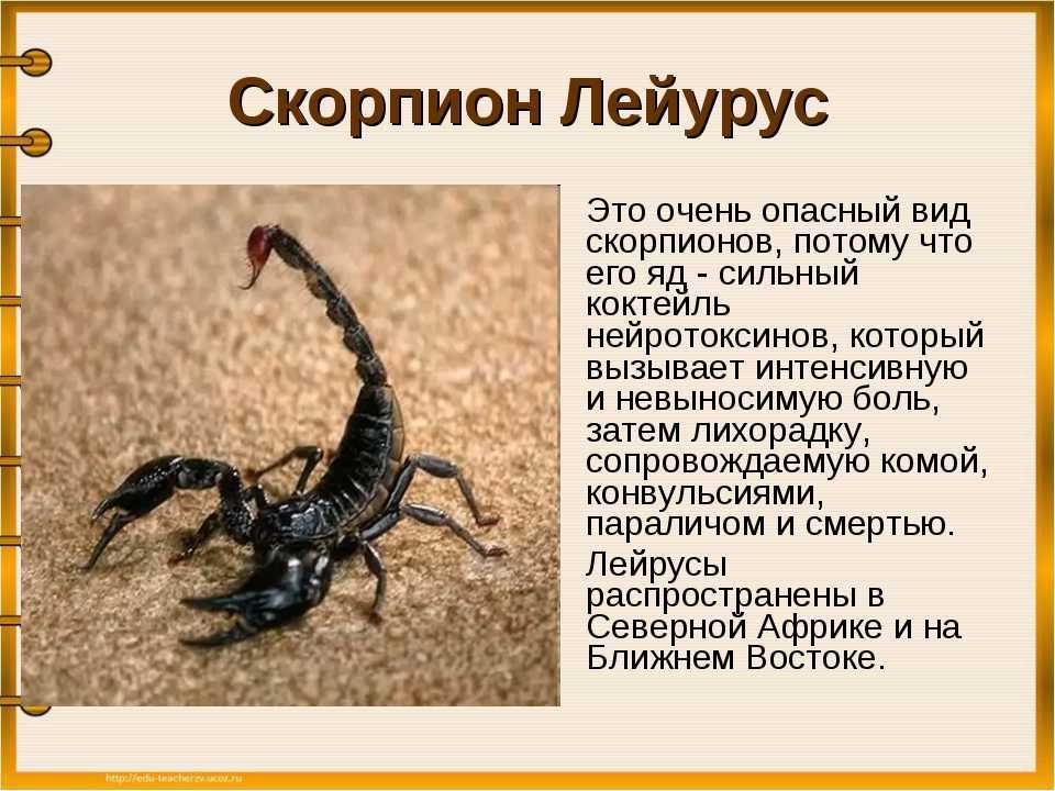 К чему снится кровь и как истолковать такой сон