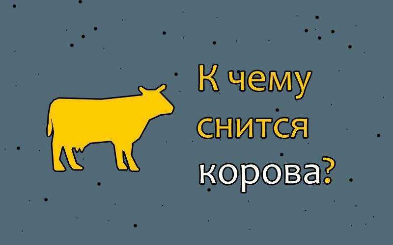 К чему снится бык? толкование по 61 соннику