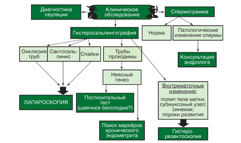 Полюбуйся на результаты обследования я оказывается бесплоден. Алгоритм обследования бесплодной пары. Обследование при бесплодии. Алгоритм обследования при бесплодии. Алгоритм обследования при бесплодном браке.