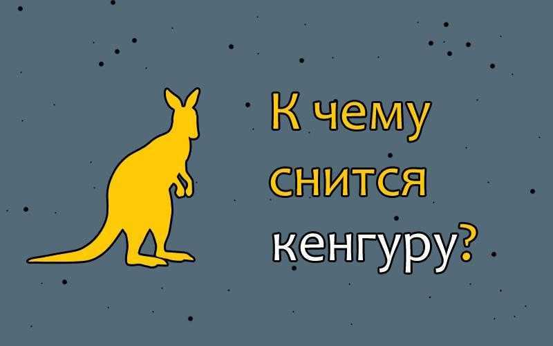 К чему снится кенгруру Что значит если вам приснился кенгуру - толкование по соннику Миллера, Ванги и тд Самое полное и правдивое толкование