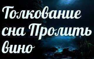К чему снится бутылка Толкование образа во сне неоднозначное и зависит от разных факторов Сонники советуют обратить внимание на все особенности и личные действия
