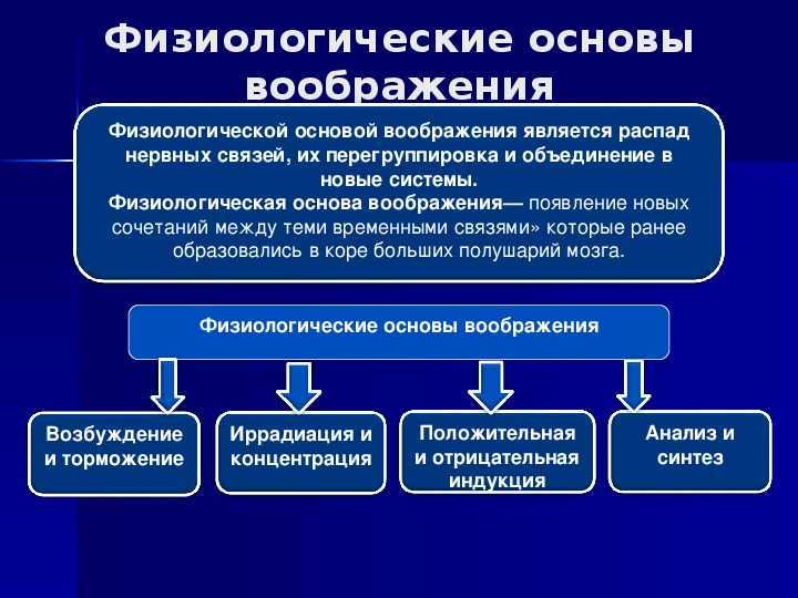 Физиологические основы воображения презентация