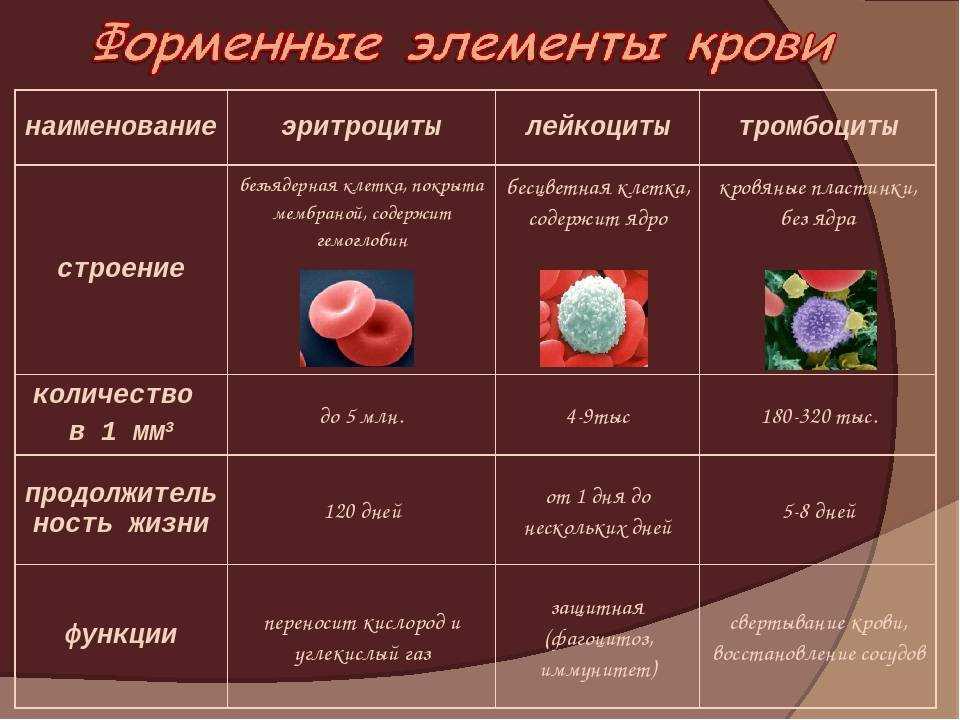 Изменение клеток крови