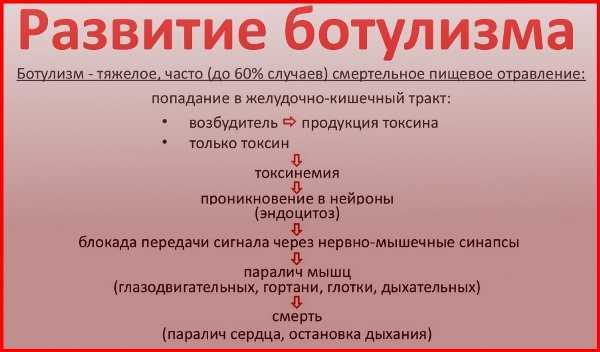 Ботулизм: симптомы у человека, первые признаки ботулизма