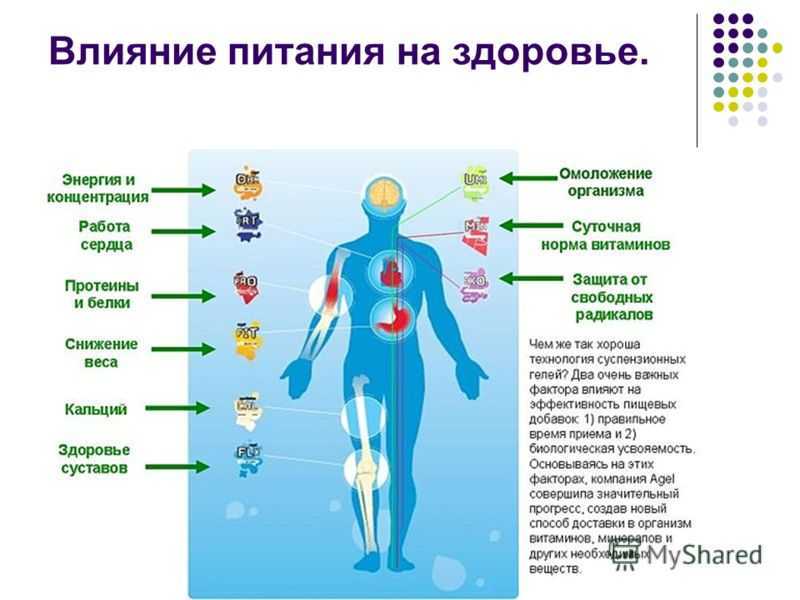 Как питание влияет на здоровье человека презентация