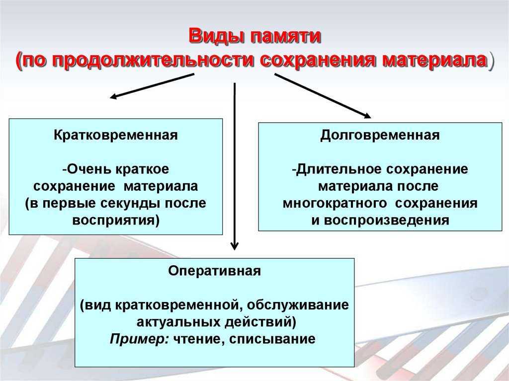 Виды памяти в психологии. долговременная и кратковременная память :: syl.ru
