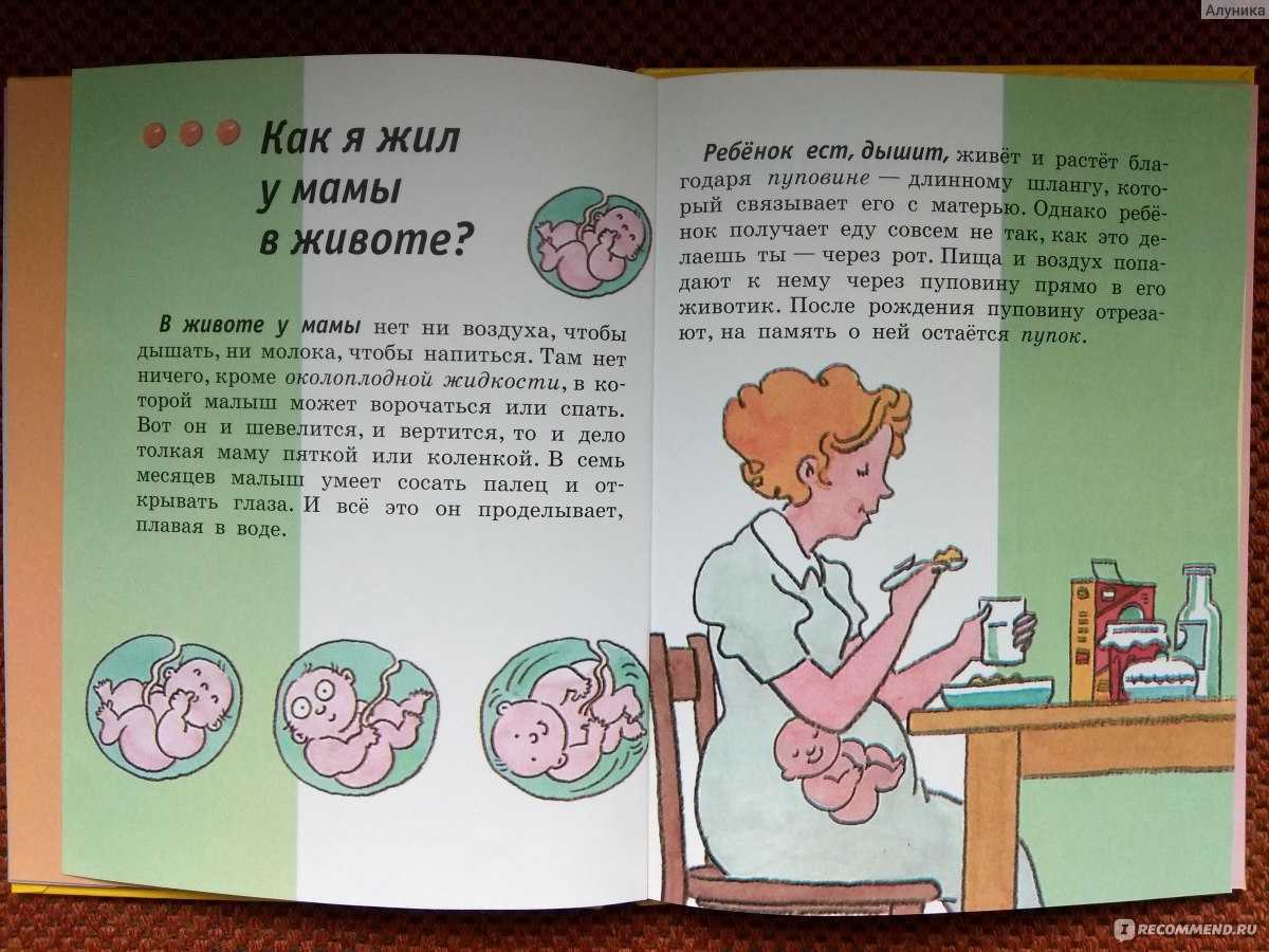 Рассказываем ребенку, откуда берутся дети. когда можно рассказать ребенку, как он появился на свет - автор екатерина данилова - журнал женское мнение