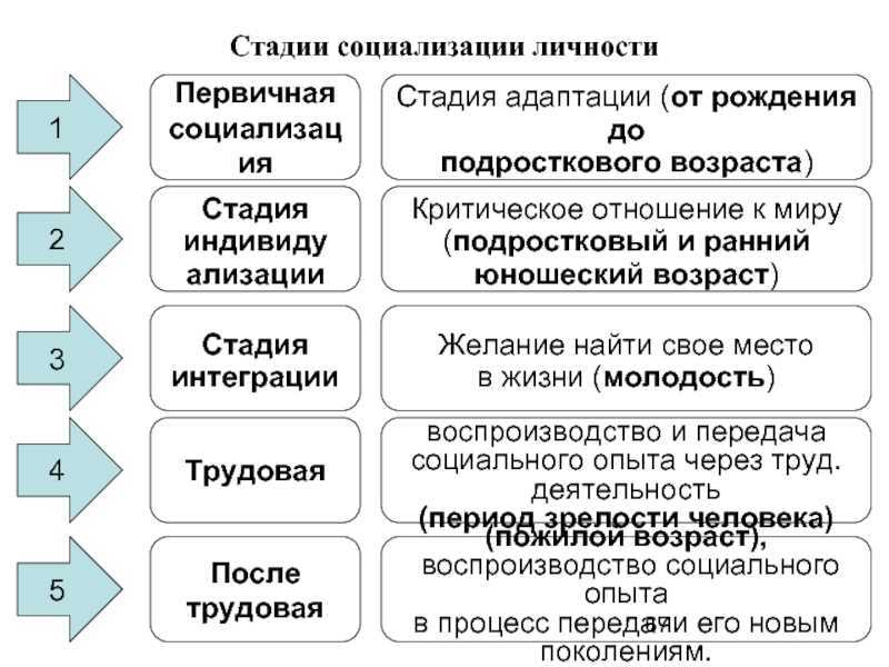 Социализация личности обществознание 10 класс презентация