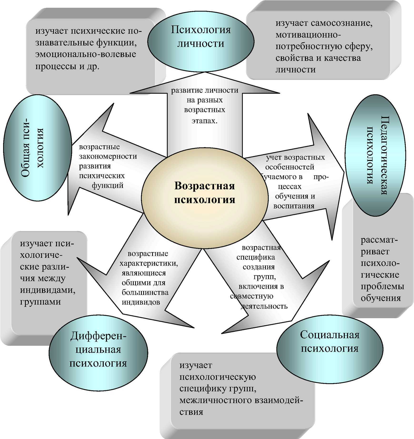 Связь психологии развития и возрастной психологии с другими науками схема