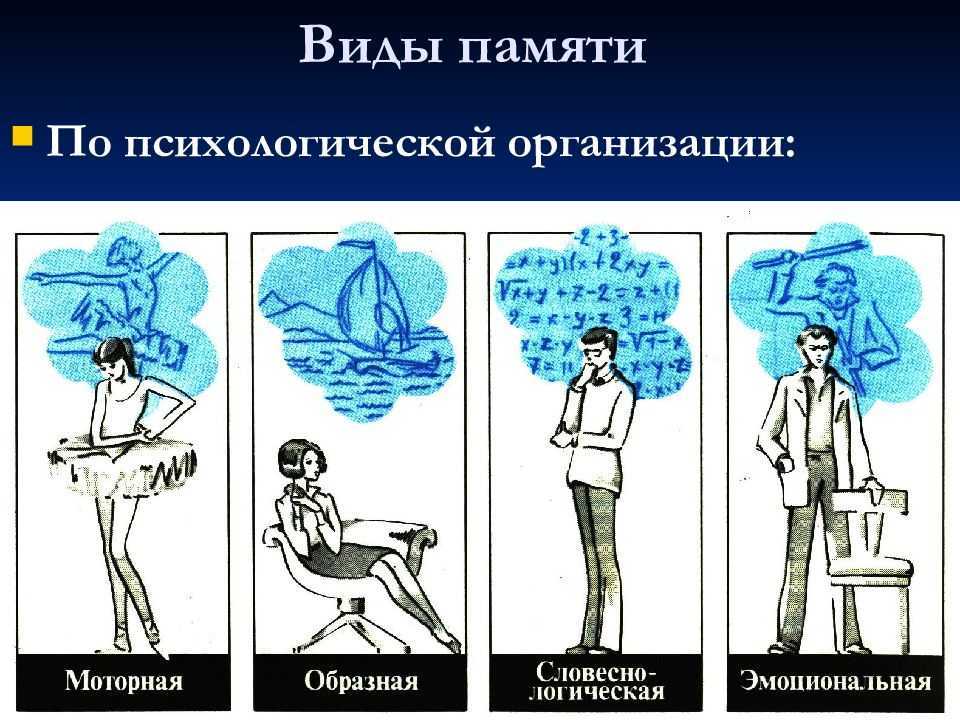 Виды памяти картинки для презентации