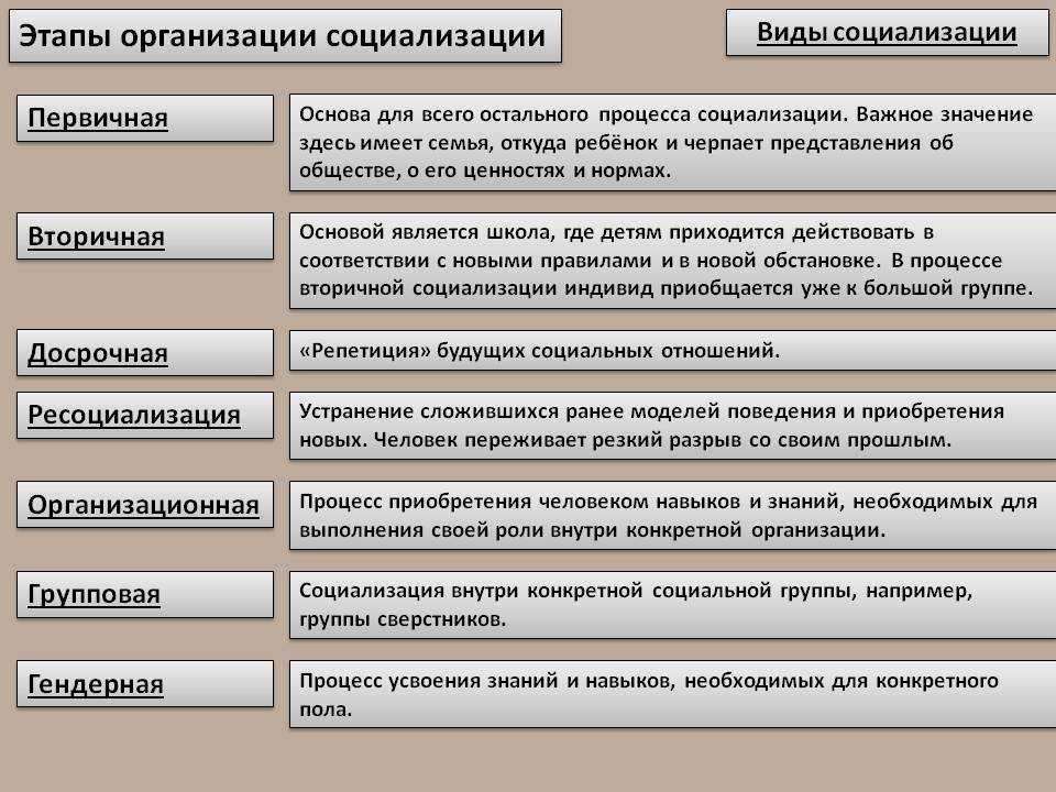 Составь в тетради схему агенты социализации указав какие агенты социализации относятся к первичным к