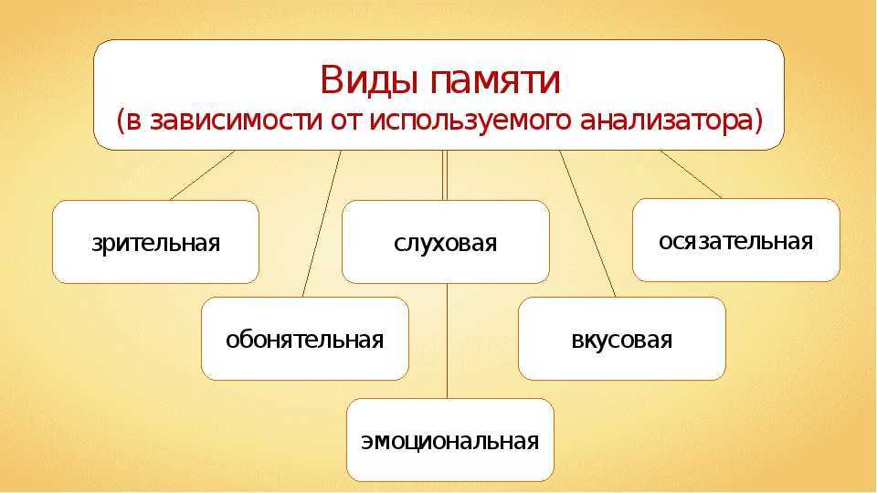 5. память