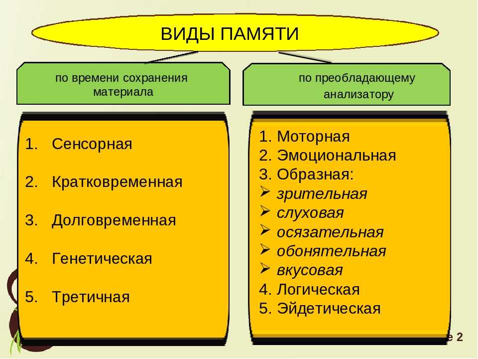 Виды памяти и их характеристика презентация