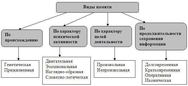 Проект виды памяти