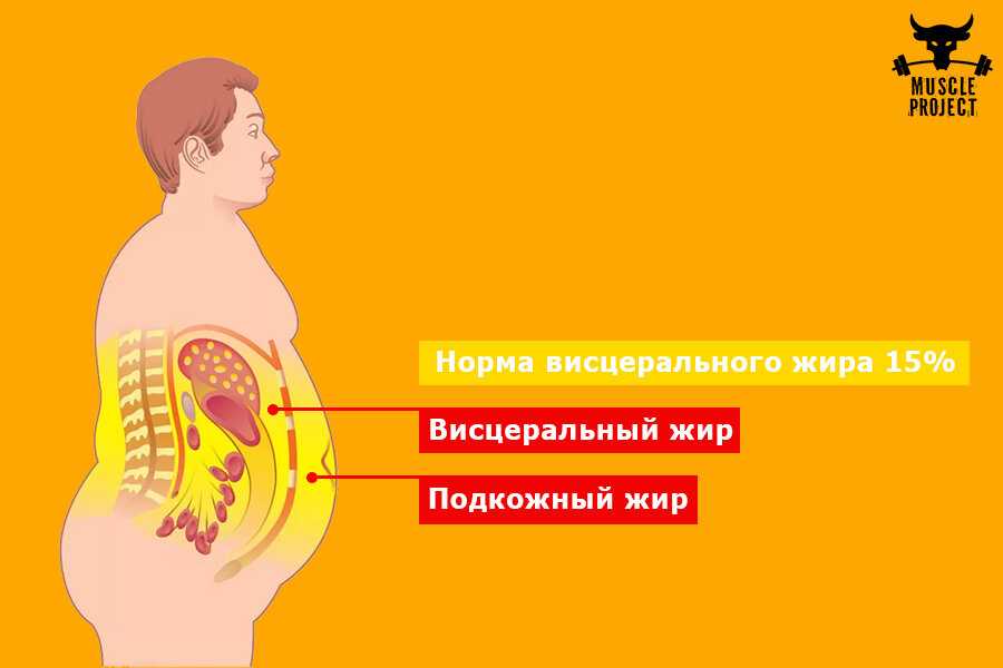 Как в организме образуется жир. как накапливается жир, и как от него избавиться. | здоровье человека