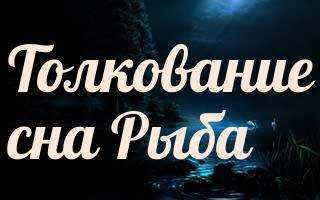 Покупать рыбу во сне - к чему снится? - 6 детальных толкований