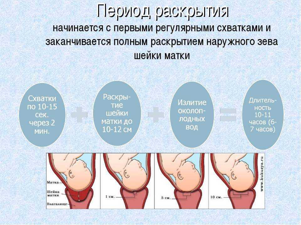Пробка 36 недель. Период предвестников родов. Схватки. Пробка при беременности перед родами. Родовые схватки характеризуются.