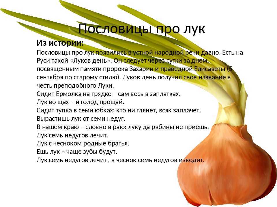 К чему снится лук во сне - толкование: сонник для мужчин и женщин