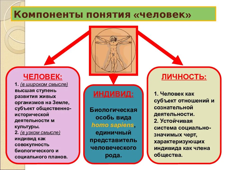 Человек индивид личность взаимосвязь понятий проект по обществознанию