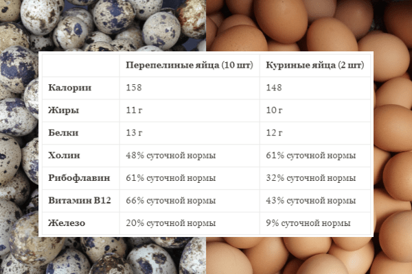 Сколько перепелиных яиц можно взрослому. Калорийность перепелиного яйца. Перепелиные яйца польза. Калорийность яиц куриных и перепелиных. Энергетическая ценность перепелиного яйца.