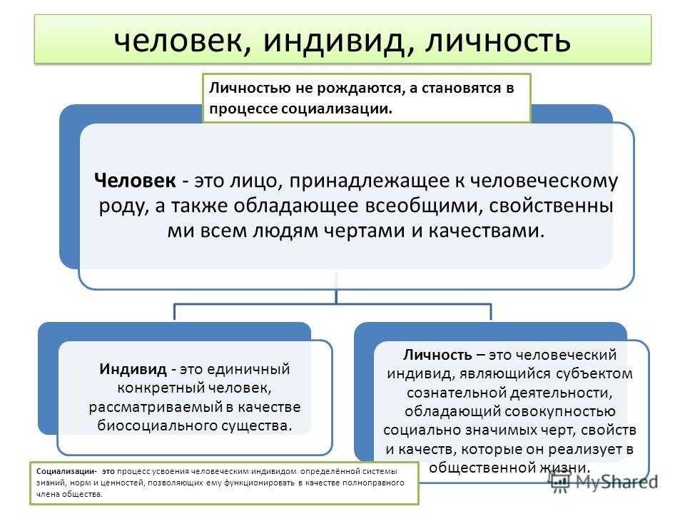 Что такое индивид проект