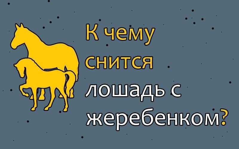 Цвет лошади и его значение
