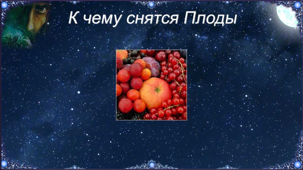 Сонник сливы на дереве к чему снится сливы на дереве во сне?