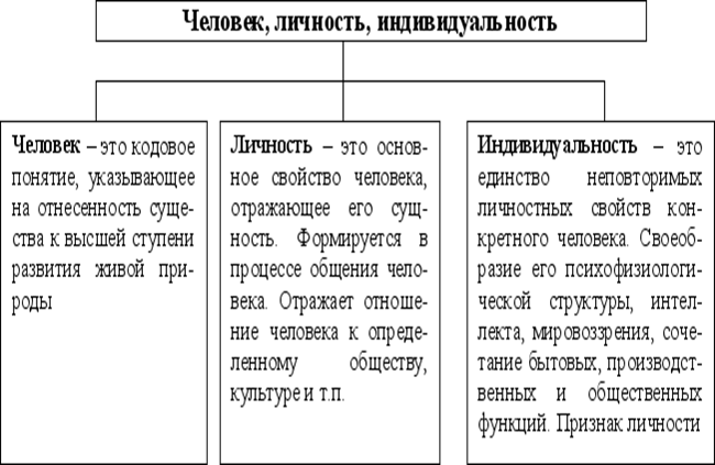 Индивид индивидуальность личность человек схема