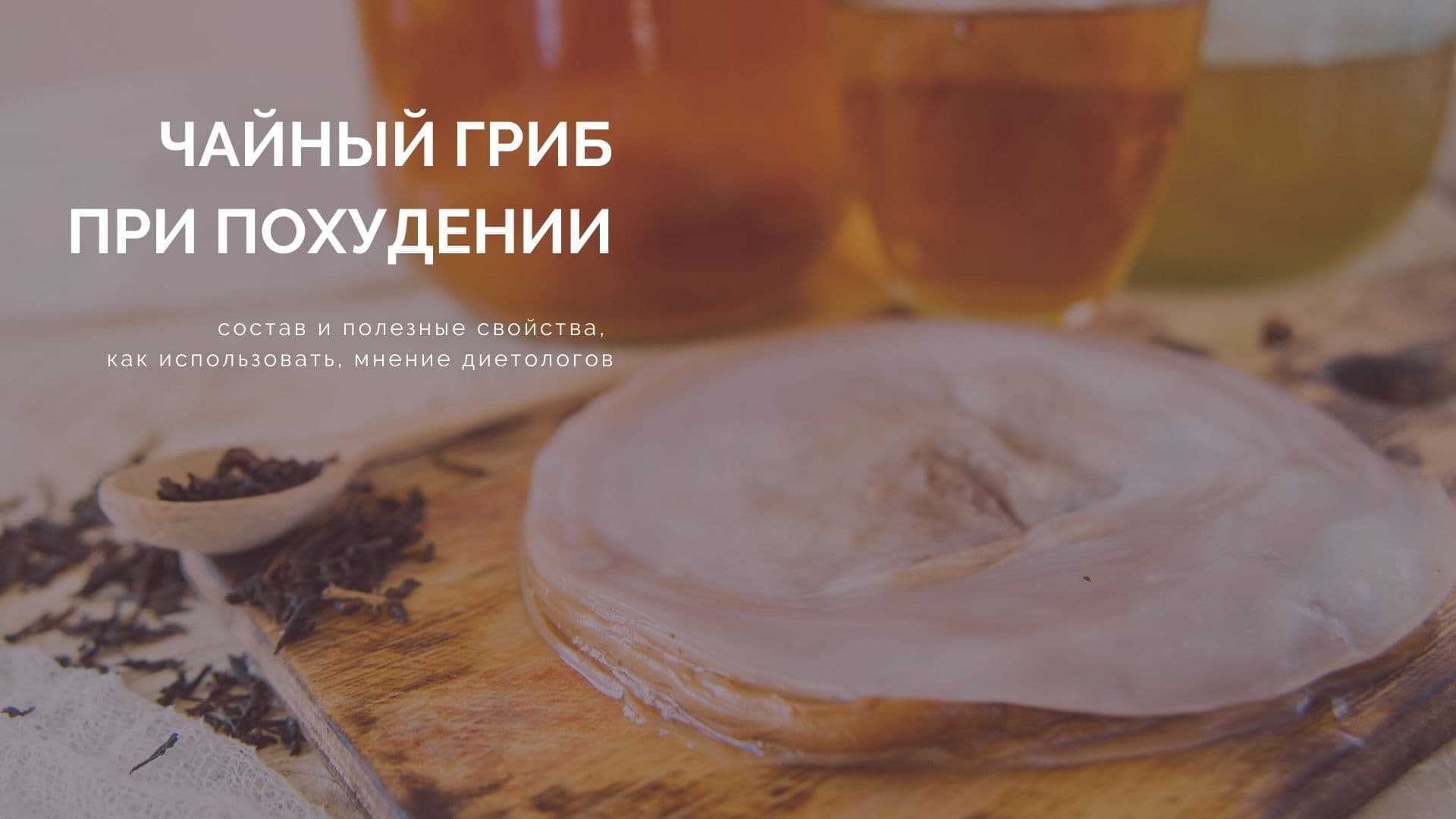 ✷чайный гриб как пить ✸ что лечит ✷ 7 секретов бодрости